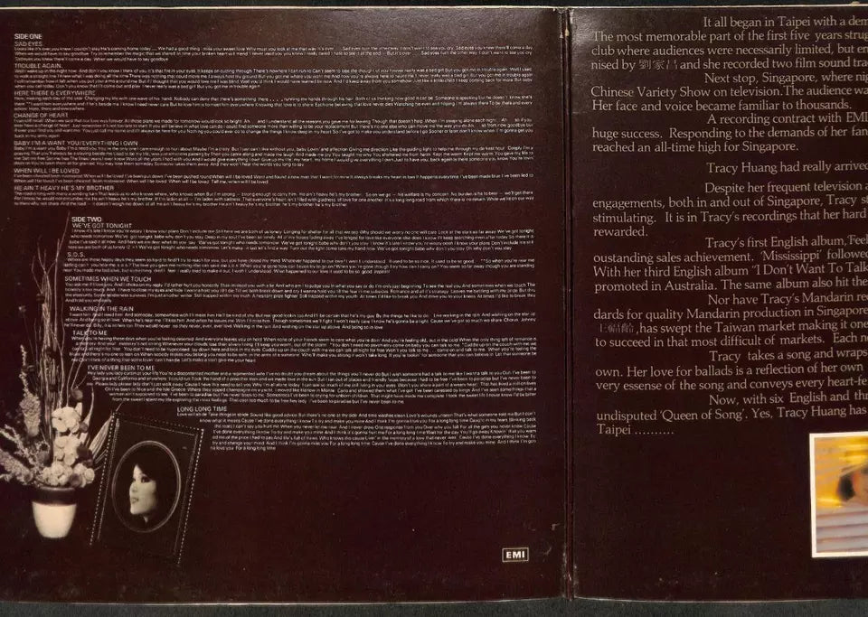 Taiwan Tracy Huang 黄露仪 黄莺莺 Portrait G/F 黄露仪 黄莺莺 English 12" LP CLP5252