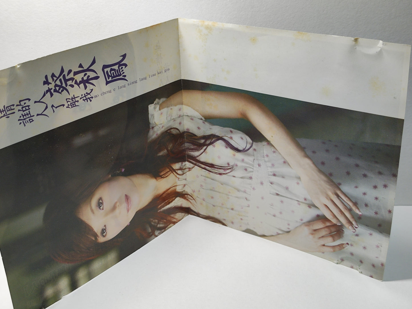 AMM25 蔡秋鳳 無情的人 誰人了解我 冷冷的相思 KARAOKE MTV SINGAPORE HOKKIEN CHINESE VIDEO CD VCD FCN128