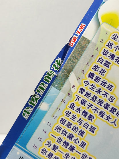 AMM25 陈瑞 尘埃里的花 这个冬天特别冷 CHINA HOKKIEN CHINESE VIDEO CD 2x VCD FCN184