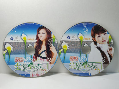 AMM25 陈瑞 尘埃里的花 这个冬天特别冷 CHINA HOKKIEN CHINESE VIDEO CD 2x VCD FCN184