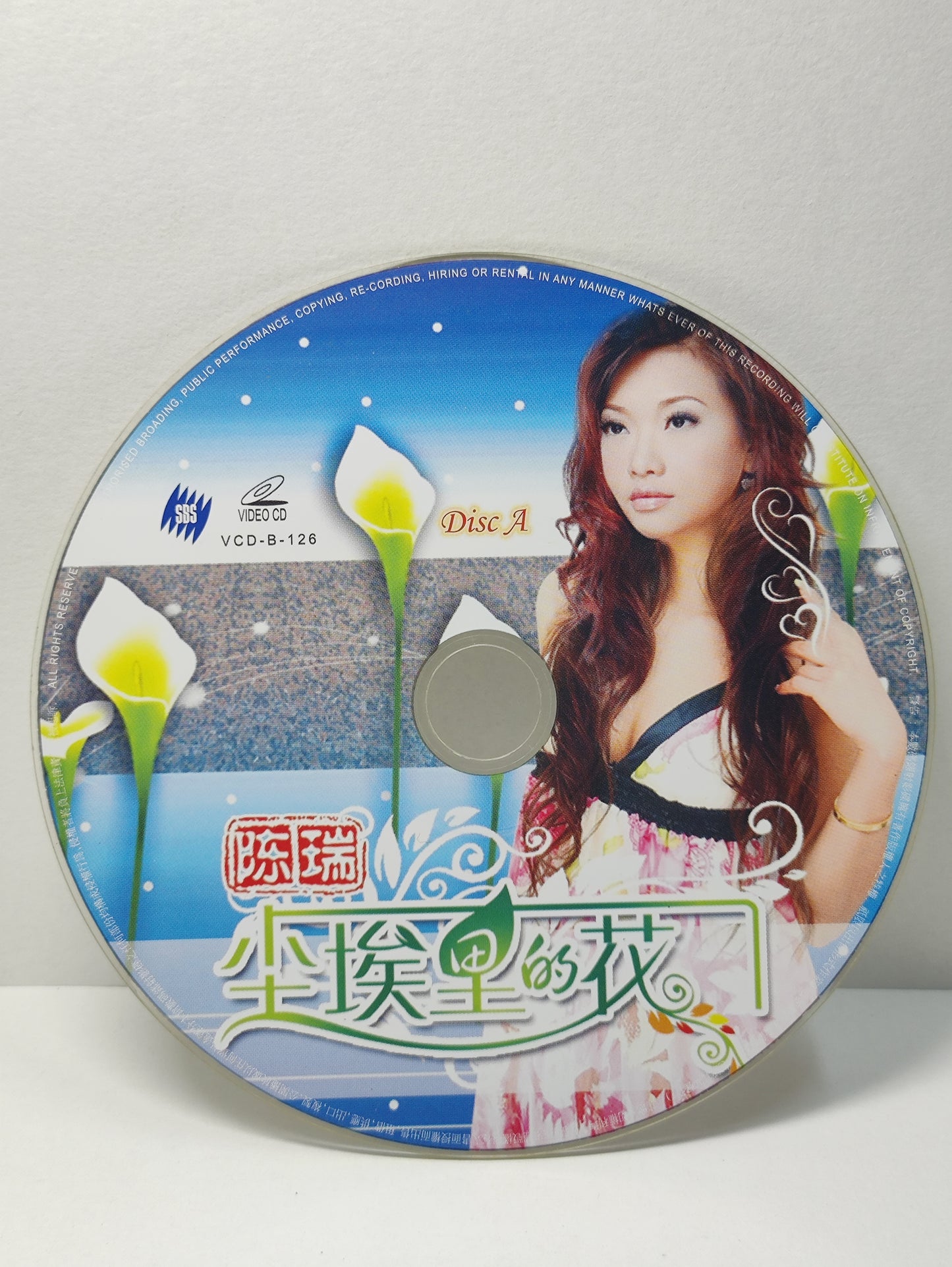AMM25 陈瑞 尘埃里的花 这个冬天特别冷 CHINA HOKKIEN CHINESE VIDEO CD 2x VCD FCN184
