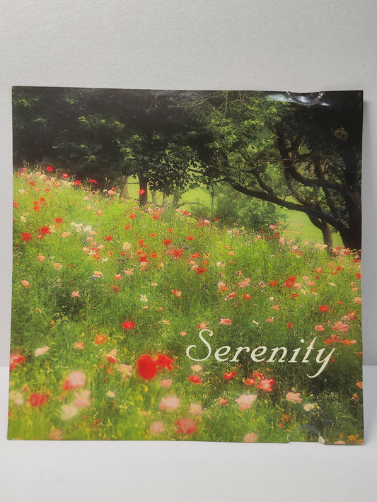 AMM25 SERENITY REFLECTIONS OF NATURE FIREFLIES DREAMING ROMANCE 1996 CANADA ENGLISH CD FCP215